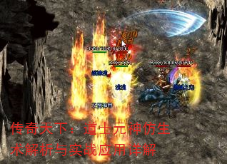 £ʿԪʵսӦ