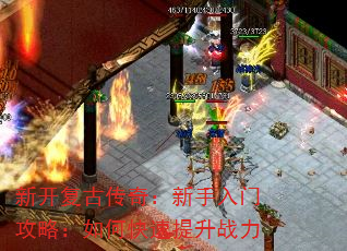 ¿Ŵ棺Źԣοս