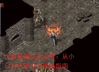 ˽ұؿС׵ȫ湥ָ
