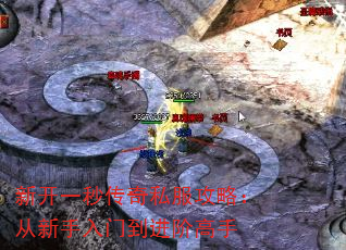 ¿һ봫˽ԣŵ׸