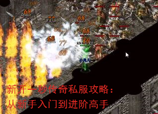 ¿һ봫˽ԣŵ׸