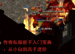 ˽ű䣺С׵ֽ