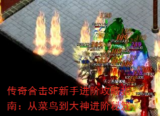 ϻSFֽ׹ָϣӲ񵽴