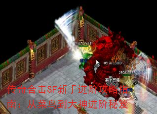ϻSFֽ׹ָϣӲ񵽴