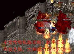 б䴫˽ԣֿ֮·սֱͨ