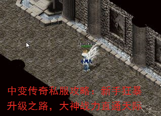 б䴫˽ԣֿ֮·սֱͨ