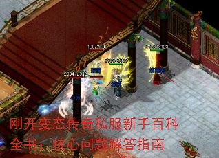 տ̬˽ְٿȫ飺ָ