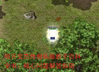 տ̬˽ְٿȫ飺ָ