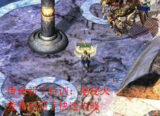 ѵػֿٹ