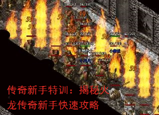 ѵػֿٹ