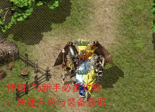 176ֱرԣװȡ