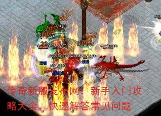 ·ŹԴȫٽ𳣼