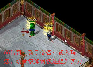 66棺ֱر귨¸οʵ