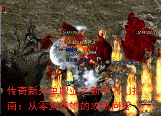 ¿ְҵָ֮ϣ㵽Ӣ۵Ĺʴ
