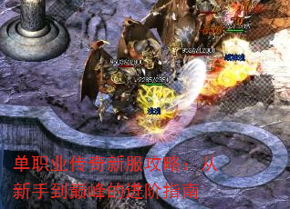 ְҵ·ԣֵ۷Ľָ