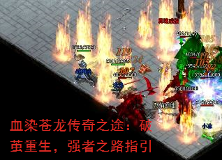 ѪȾ֮;Ƽǿ֮·ָ