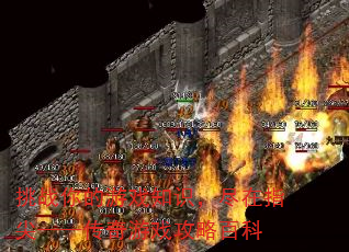 սϷ֪ʶָ⡪Ϸ԰ٿ