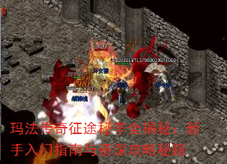 귨;ȫأָؼ