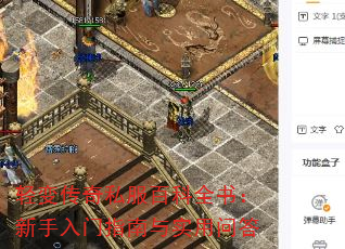 䴫˽ٿȫ飺ָʵʴ