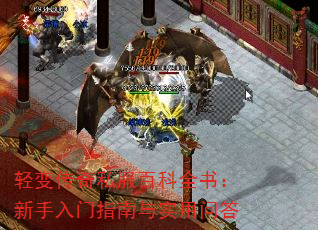 䴫˽ٿȫ飺ָʵʴ