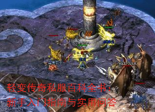 䴫˽ٿȫ飺ָʵʴ