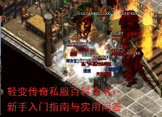 䴫˽ٿȫ飺ָʵʴ