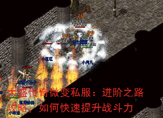 ʢ΢˽֮·ԣοս