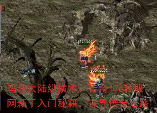 귨½ݺ176˽ؼ̽Ѱ֮·