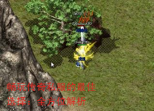 洫˽ѡȫλ