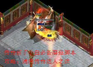 СױرĢűԣ֮ͨ;