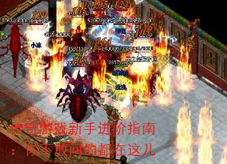 Ϸָֽϣ㲻ʵĶ