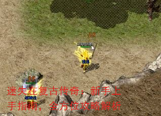 ʧڸŴ棺ָϣȫλԽ