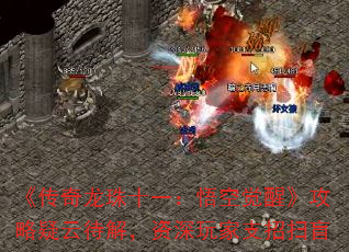 ʮһվѡƴ⣬֧ɨä