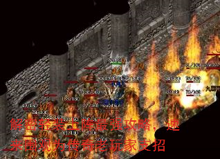 װǿԣΧΪ֧