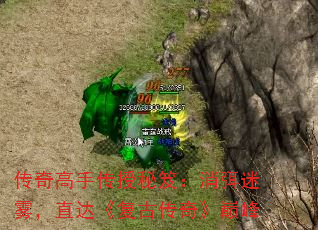 ִţֱŴ桷۷