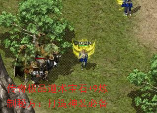 漫Ʒʯ+9طװر