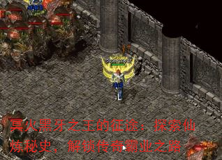 ڤ֮;̽ʷҵ֮·