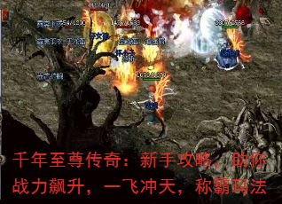 ǧ棺ֹԣսһɳ죬ư귨