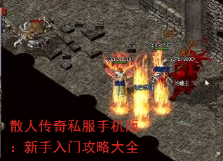 ɢ˴˽ֻ棺ŹԴȫ