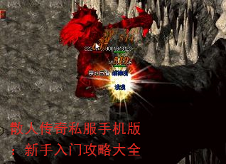 ɢ˴˽ֻ棺ŹԴȫ