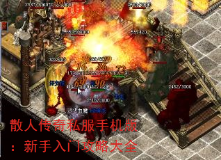 ɢ˴˽ֻ棺ŹԴȫ