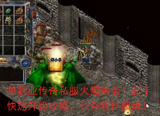 ְҵ˽Ϯֿԣֱ۷壡