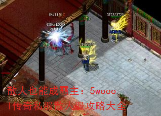 ɢҲܳɰ5woool˽ɢ˷Դȫ