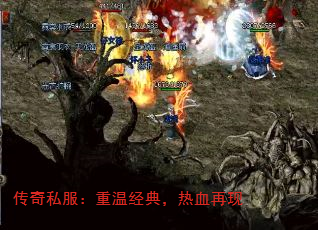 ˽¾䣬Ѫ