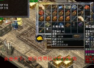 ϻ£淨ռָ