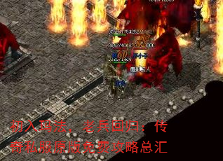 귨ϱع飺˽ԭѹܻ