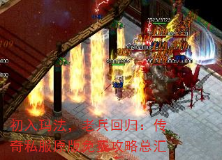 귨ϱع飺˽ԭѹܻ