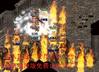 귨ϱع飺˽ԭѹܻ
