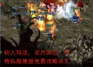 귨ϱع飺˽ԭѹܻ
