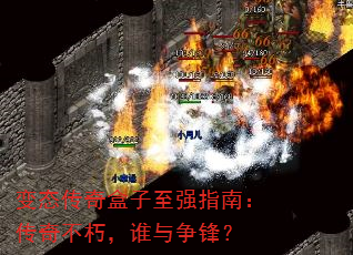 ̬ǿָϣ治࣬˭棿